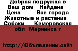 Добрая подружка,в Ваш дом!!!Найдена › Цена ­ 10 - Все города Животные и растения » Собаки   . Кемеровская обл.,Мариинск г.